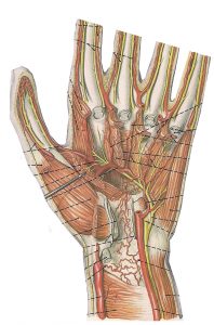 carpal tunnal